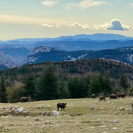 Bergerie Du Salbadou